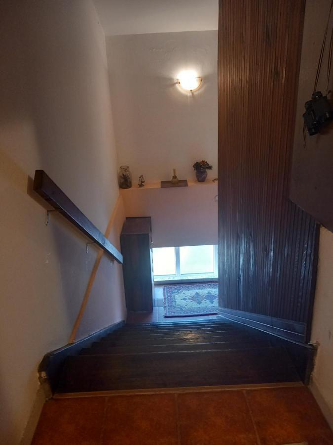 Cosy Rooftop Studio With Balcony Belgrado Esterno foto