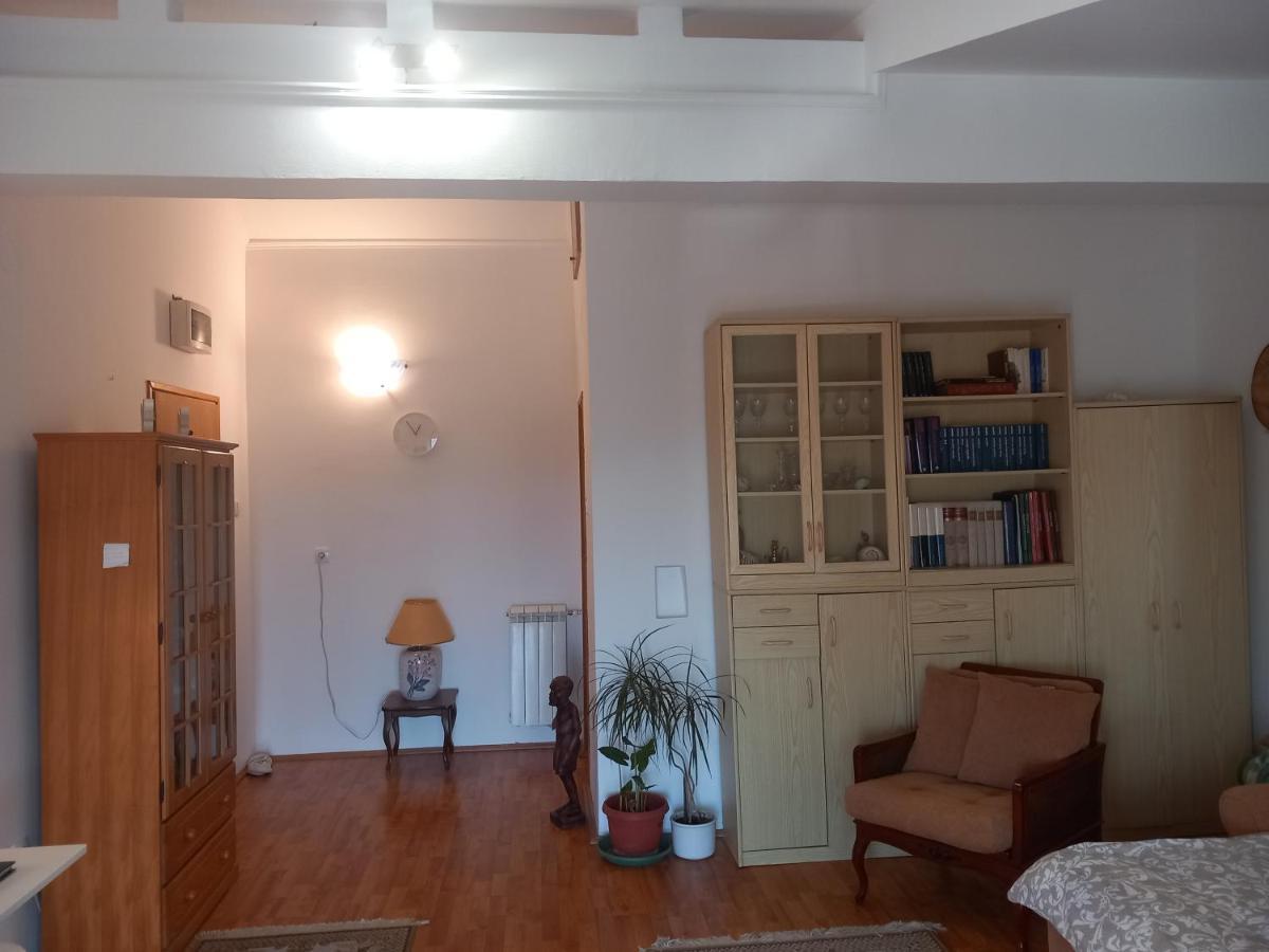 Cosy Rooftop Studio With Balcony Belgrado Esterno foto